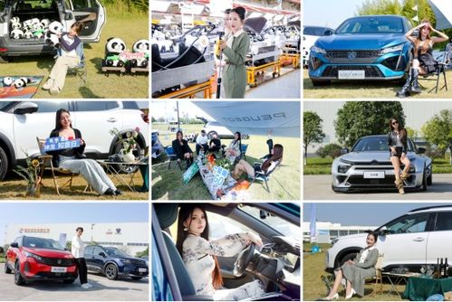 真誠(chéng)，才是汽車消費(fèi)的“必殺技”——從神龍汽車雙十一活動(dòng)談起